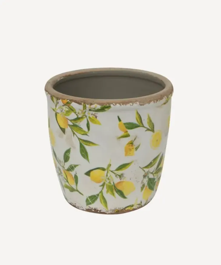 Outlet Botanical Lemon Pot Large Urns, Vases & Planters