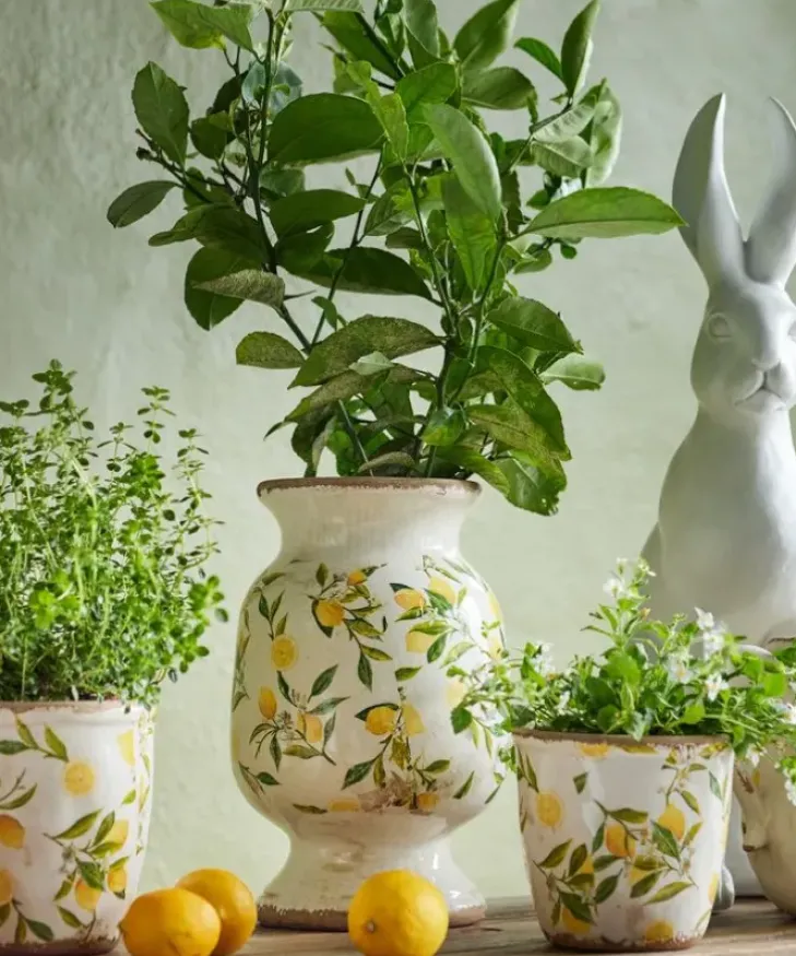 Sale Botanical Lemon Urn Urns, Vases & Planters