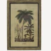 Outlet Botanical Wall Art Species B Wall Art