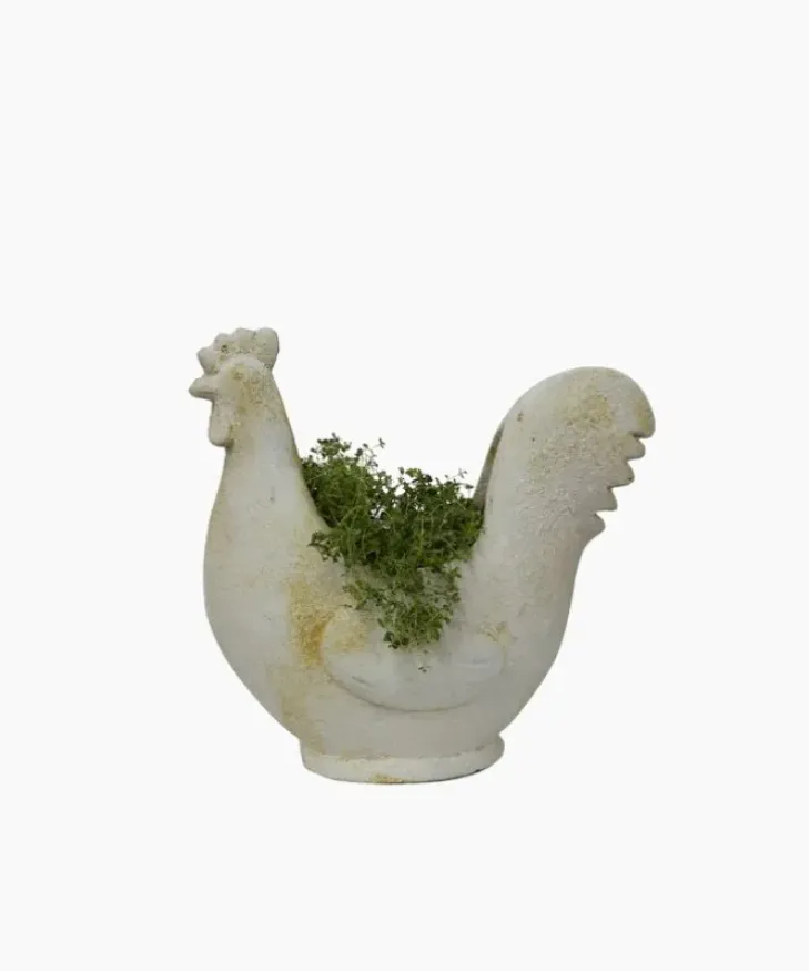 Fashion Chook Flower Pot Urns, Vases & Planters