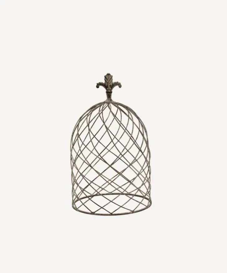 Sale Cloche Dome Small Garden Accessories