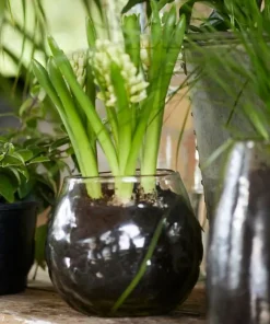 Hot Dappled Clear Bowl Vase Urns, Vases & Planters