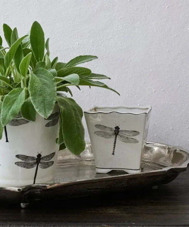 Outlet Dragonfly Small Square Planter Urns, Vases & Planters