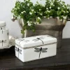 New Dragonfly Storage Box Boxes