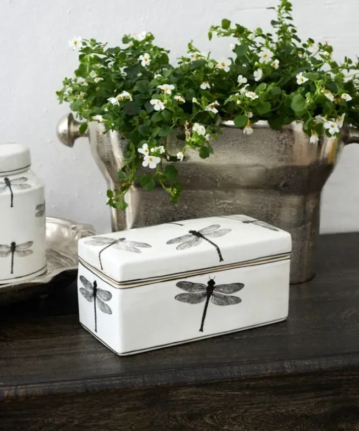 New Dragonfly Storage Box Boxes