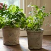 Sale Gris Planter Small Urns, Vases & Planters