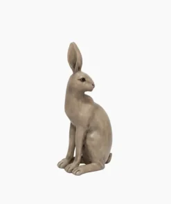 Hot Harold the Hare Turning Brown Decorative Objects