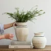 Clearance Lisbon Jug Large Urns, Vases & Planters