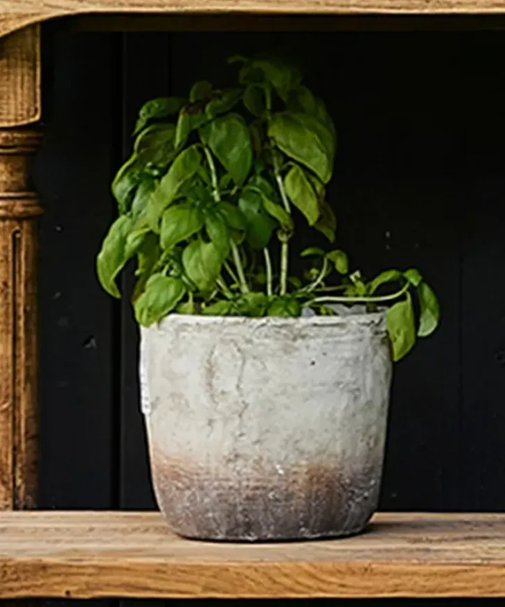 Discount Marron Planter Pot Medium Urns, Vases & Planters