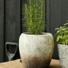 Outlet Marron Planter Vase Medium Urns, Vases & Planters