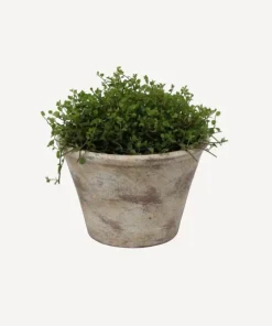 Outlet Providence Plant Pot Medium Urns, Vases & Planters